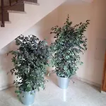 Lejlighed Casa Venturi Scandicci