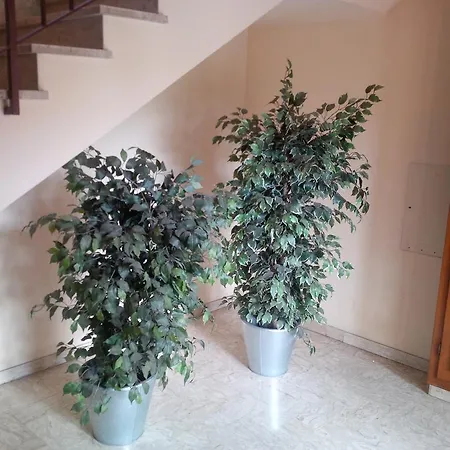 Lägenhet Casa Venturi Scandicci